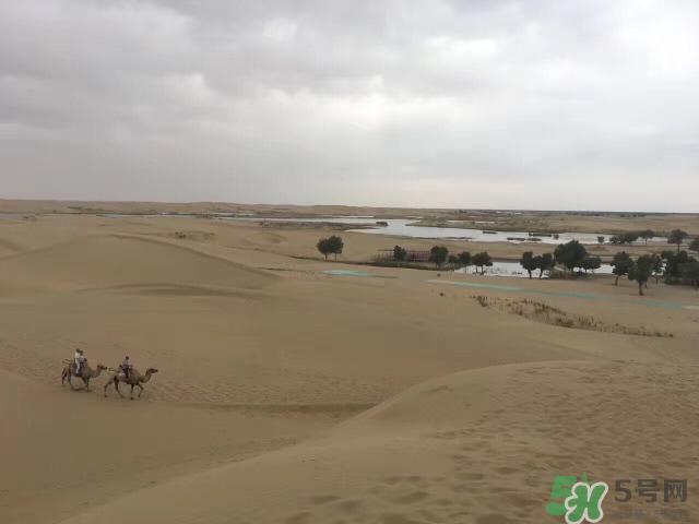 去新疆旅游攻略 去新疆旅游推荐路线