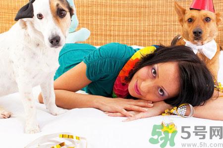 狗狗发烧了怎么办？狗狗发烧的症状有哪些？