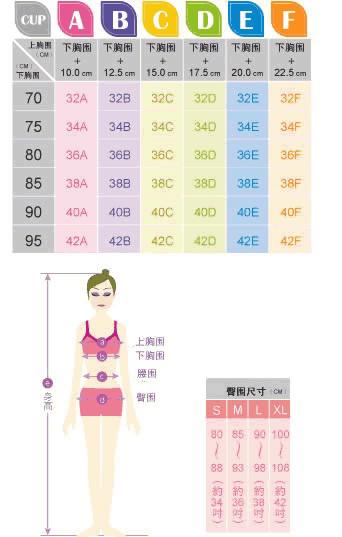 胸型有哪几种图解 对应内衣怎么选择