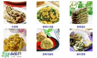 香椿芽怎么吃？新鲜香椿芽怎么吃