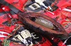 口味王槟榔是什么东西？口味王槟榔怎么吃