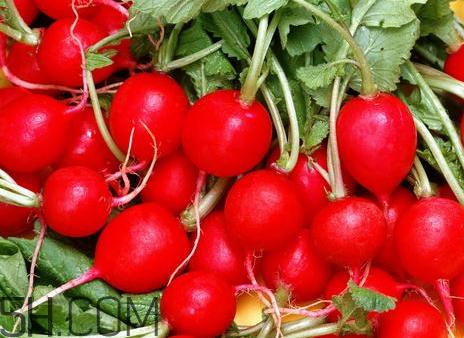 红萝卜是凉性的吗 红萝卜是凉性还是热性