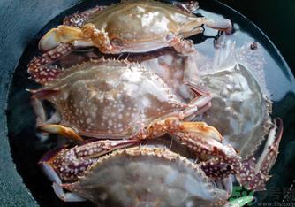 河蟹死了还能吃吗？河蟹死了多久还能吃？