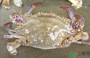 河蟹死了还能吃吗？河蟹死了多久还能吃？