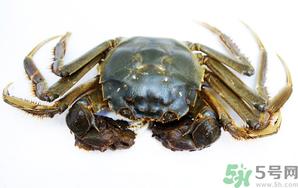 河蟹死了还能吃吗？河蟹死了多久还能吃？