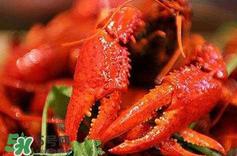 油焖大虾怎么做好吃？正宗潜江油焖大虾做法