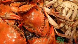 螃蟹刚死能吃吗？刚死的螃蟹怎么保存