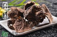 虎掌菌的营养价值 虎掌菌的功效与作用