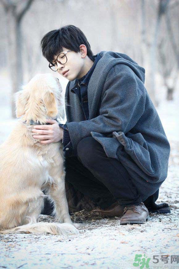 烟袋斜街10号什么时候上映？烟袋斜街10号讲的什么？