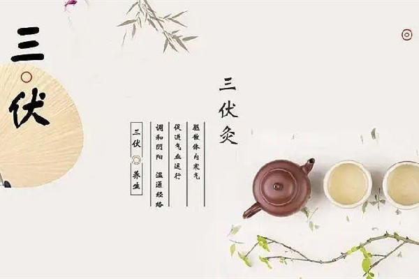 三伏灸灸哪些部位 三伏灸的好处与功效有哪些