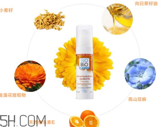 诗蓓欧属于什么档次 诗蓓欧是小牌子吗