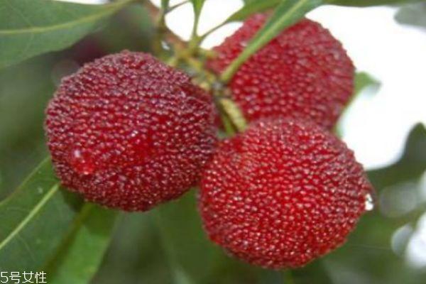 杨梅有什么营养价值呢 吃杨梅有什么好处呢