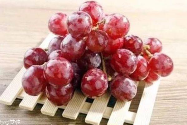 提子是热带水果吗 提子上火吗