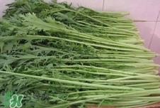 新鲜的雪里红怎么腌制?雪里红怎么腌制好吃?