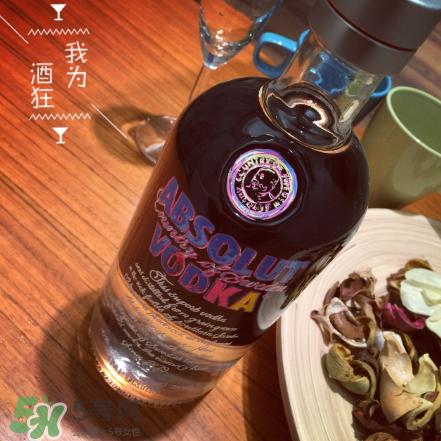 绝对伏特加怎么样?绝对伏特加好喝吗?