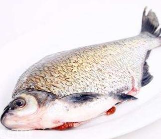 鳊鱼是什么鱼 鳊鱼是淡水鱼