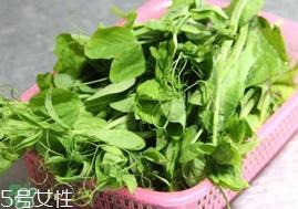 豌豆苗怎么做好吃?豌豆苗的做法