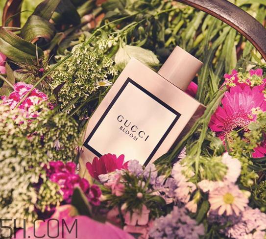 gucci bloom香水多少钱?gucci bloom香水专柜价格