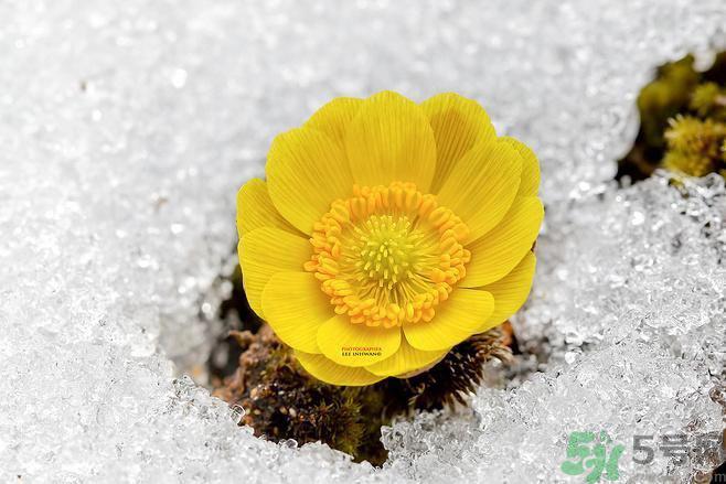 清明节有哪些习俗？清明节习俗的来源？