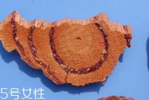 鸡血藤的功效和作用 多种功效