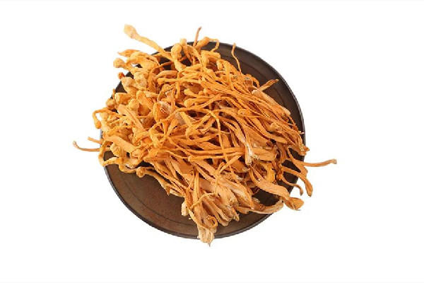 虫草花是野生的吗 虫草花什么样