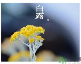 白露是什么意思？白露是几月几日