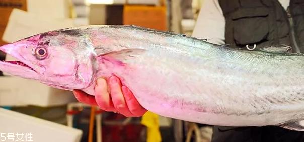 鲅鱼怎么做好吃 鲅鱼的多种常见做法