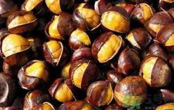 板栗有油栗哪个好?板栗和油栗的区别是什么?