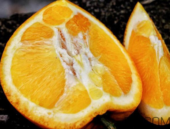 褚橙什么牌子最正宗？褚橙的种植技术