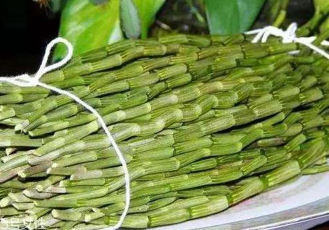 新鲜石斛怎么保存 通风保存