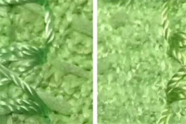 yeezy 350荧光绿真假辨别 椰子350荧光绿真假对比