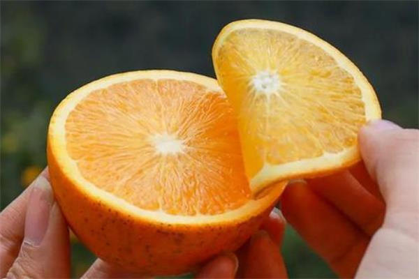 冰糖橙是哪里的特产 冰糖橙是寒性的吗