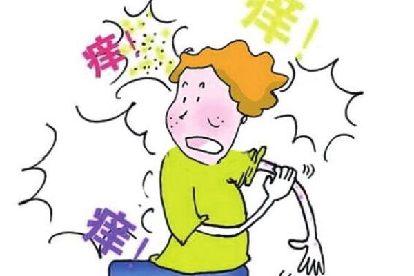 最实用有效的抗过敏法