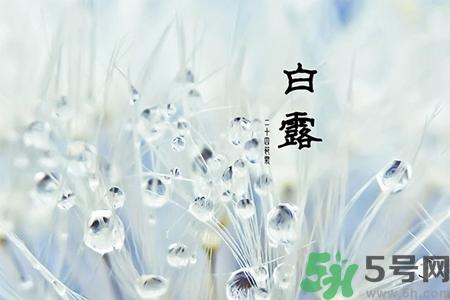 白露节吃什么？白露节的传统美食有哪些？