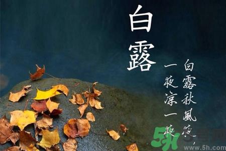 白露节吃什么？白露节的传统美食有哪些？