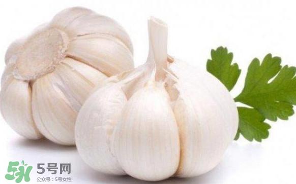 蒜头怎么腌制好吃?腌制咸蒜的正确方法