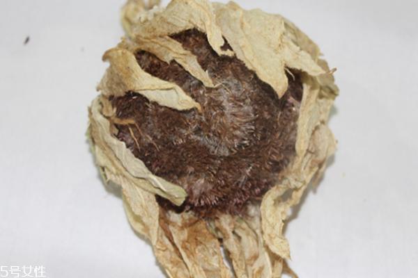 天山雪莲价格 价格昂贵