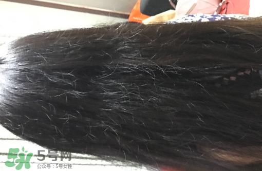 mm魔法梳和tt梳子哪个好？michel mercier和tangle teezer魔法梳