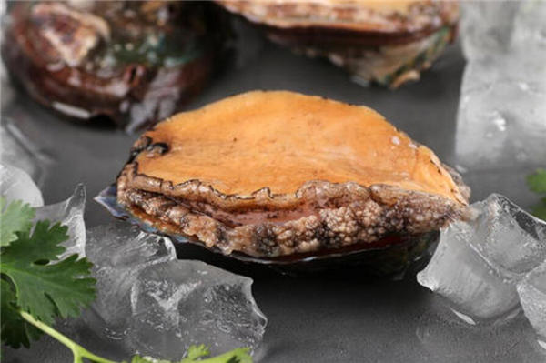 鲍鱼蒸多久才可以吃最佳时间,上汽后蒸10分钟即可