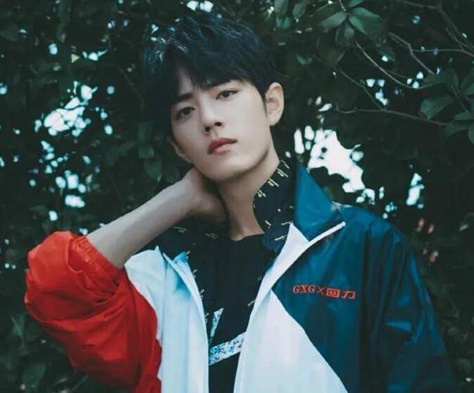 肖战个人资料及作品（肖战有哪些作品）