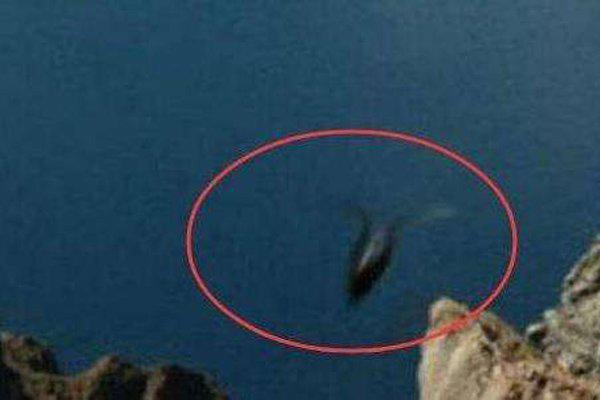 长白山天池水怪抓住了 天池水怪真相是什么