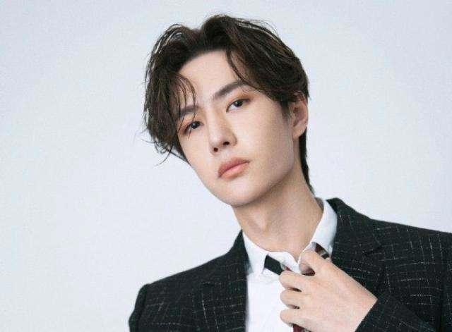 国内小鲜肉，小鲜肉明星排行榜