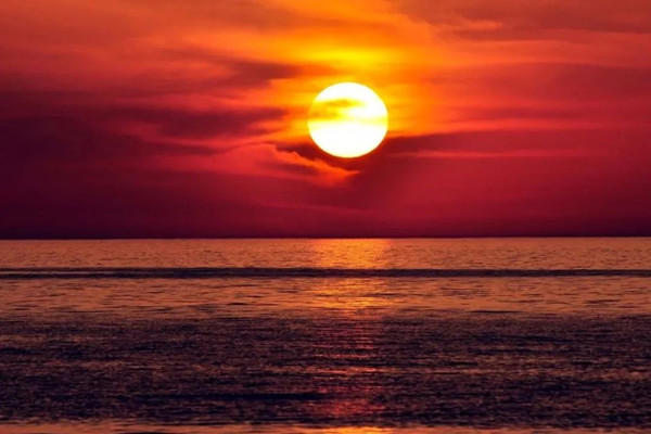 多想再见你哪怕匆匆一眼就别离，我试着把孤独藏进耳机是什么歌