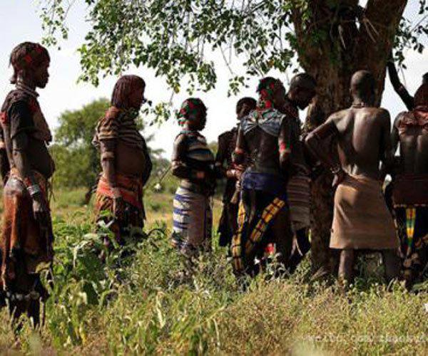 象人族人怎么同房，女人受得了吗