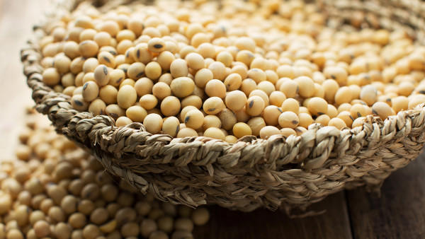 六种补血食疗既美味又美丽