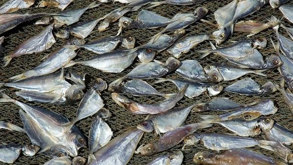 抽检发现有的女装致癌物超标20多倍 生活中最容易致癌的东西是什么？