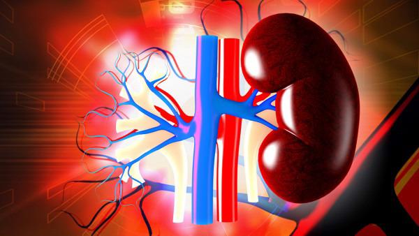 青少年肾虚的表现 青少年肾虚怎么调理