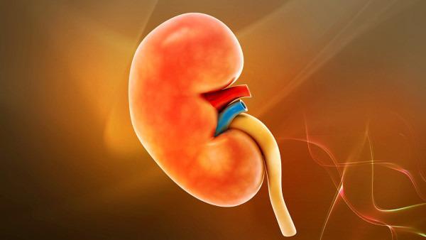 青少年肾虚的表现 青少年肾虚怎么调理