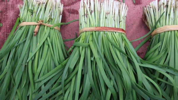 男性保健食疗方法有哪些？男人补身体吃什么好？