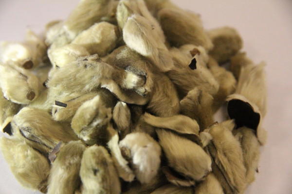 中药减肥有哪些方法?中药减肥的四大热门偏方